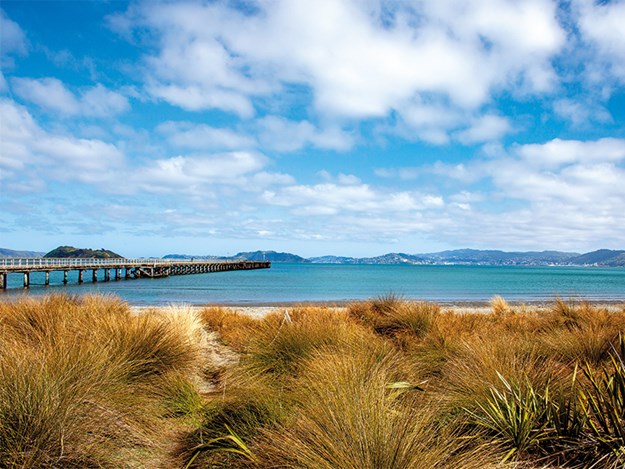 The beach at petone